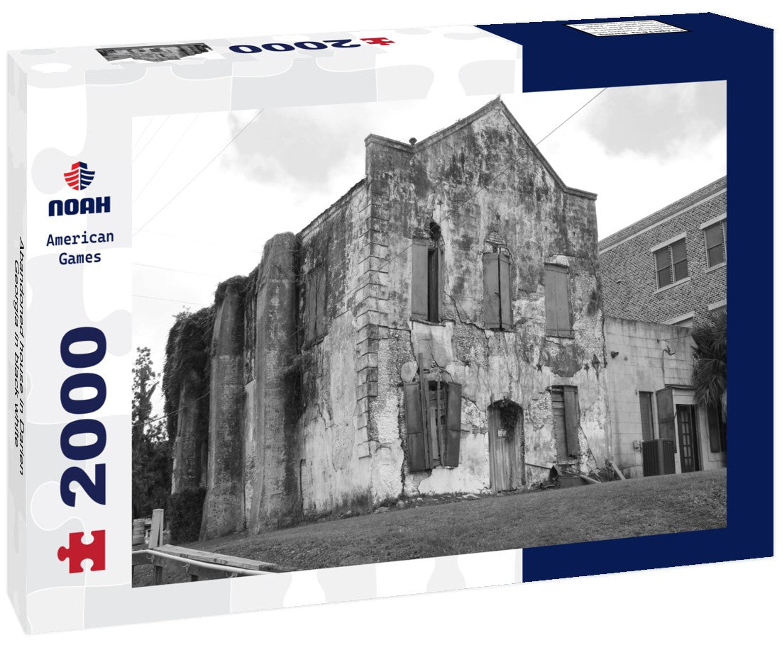 Abandoned house in Darien, Georgia 2000pc PuzzleBlack and White