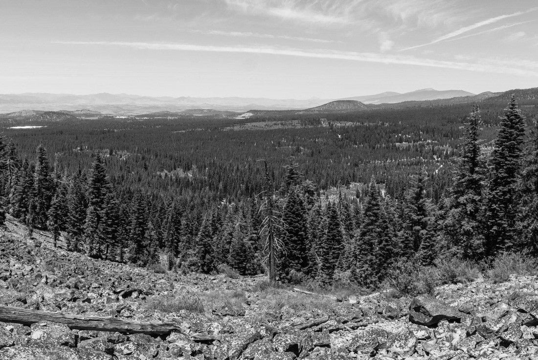 Hiking trail to the top of Black Butte, close to Shasta Mountain, Siskiyou County, Northern California 2000pc PuzzleBlack and White
