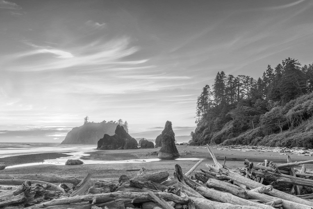 Noah Jigsaw Puzzle Olympic National Park, Washington, USA at Ruby Beach with piles of deadwood in black white 2000 pieces