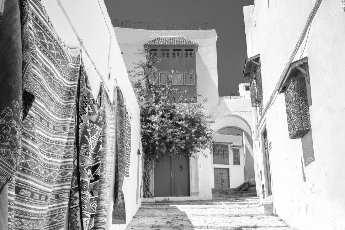 Noah Jigsaw Puzzle Street in white blue town Sidi Bou Said. Tunisia, North Africa in black white 2000 pieces