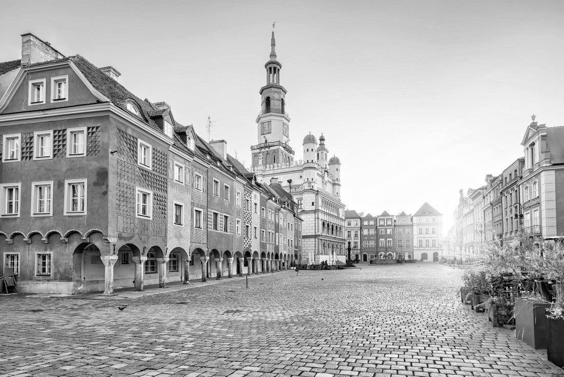 Stary Rynek square with small colorful houses and the old town hall in Poznan, Poland 2000pc PuzzleBlack and White
