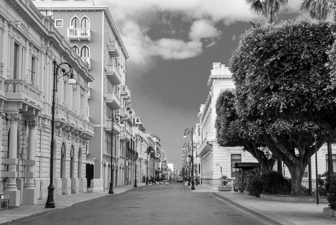 Pedestrian tourist street Corso Giuseppe Garibaldi with old traditional buildings, lamps and green trees in historical centre of the city Reggio di Calabria, Southern Italy 2000pc PuzzleBlack and White