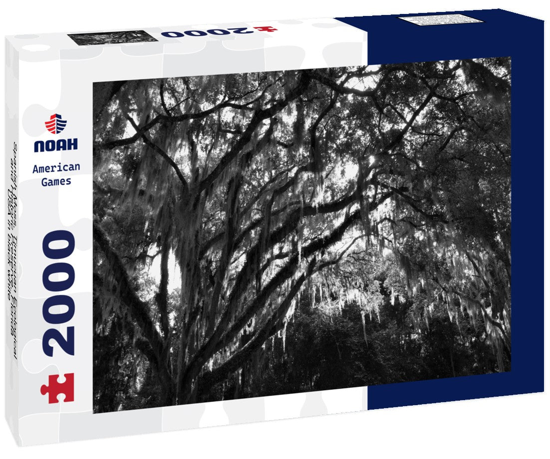 Spanish Moss, Timucuan Ecological and Historic Preserve, Florida, USA 2000pc PuzzleBlack and White