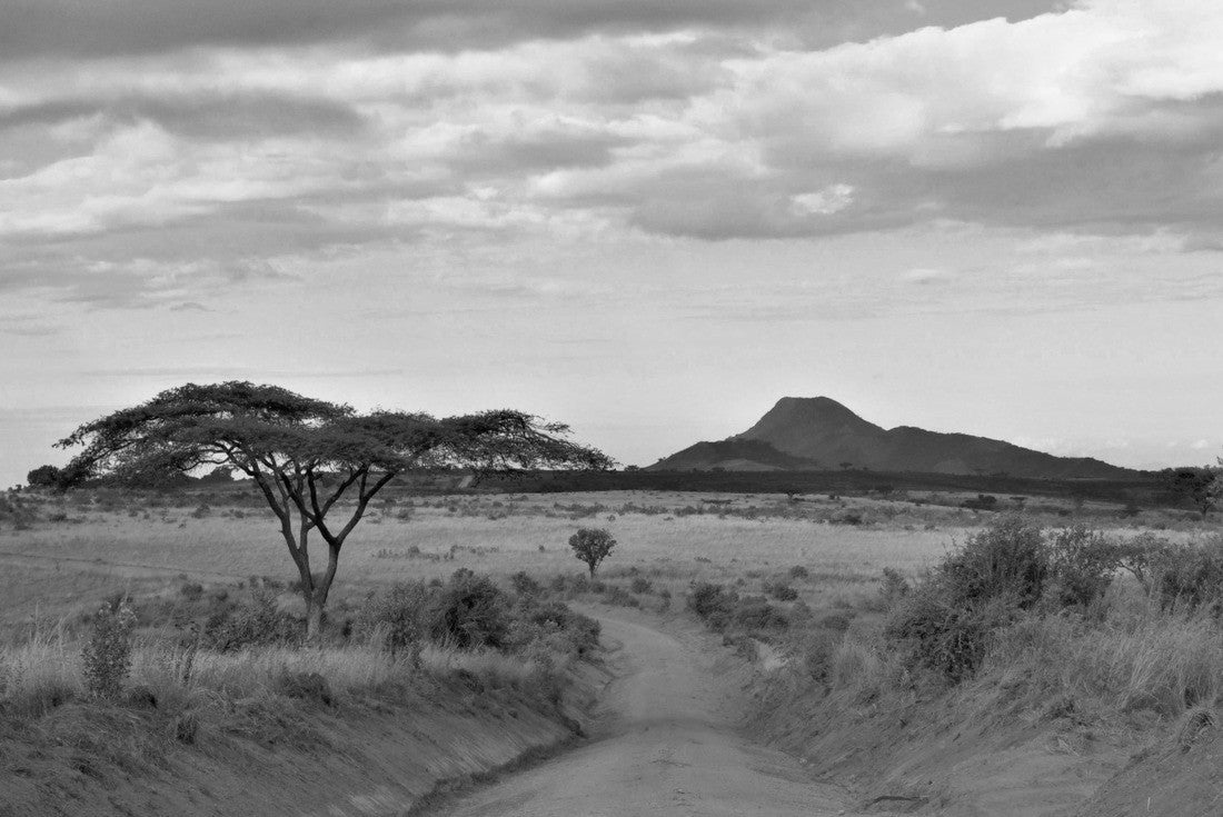 A dusty road, Malawi 2000pc PuzzleBlack and White