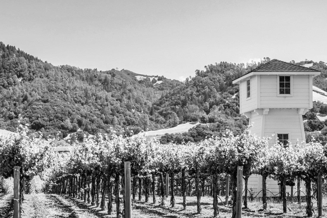 Part of vineyard with watchtower in Sonoma Valley, northern California, USA 2000pc PuzzleBlack and White