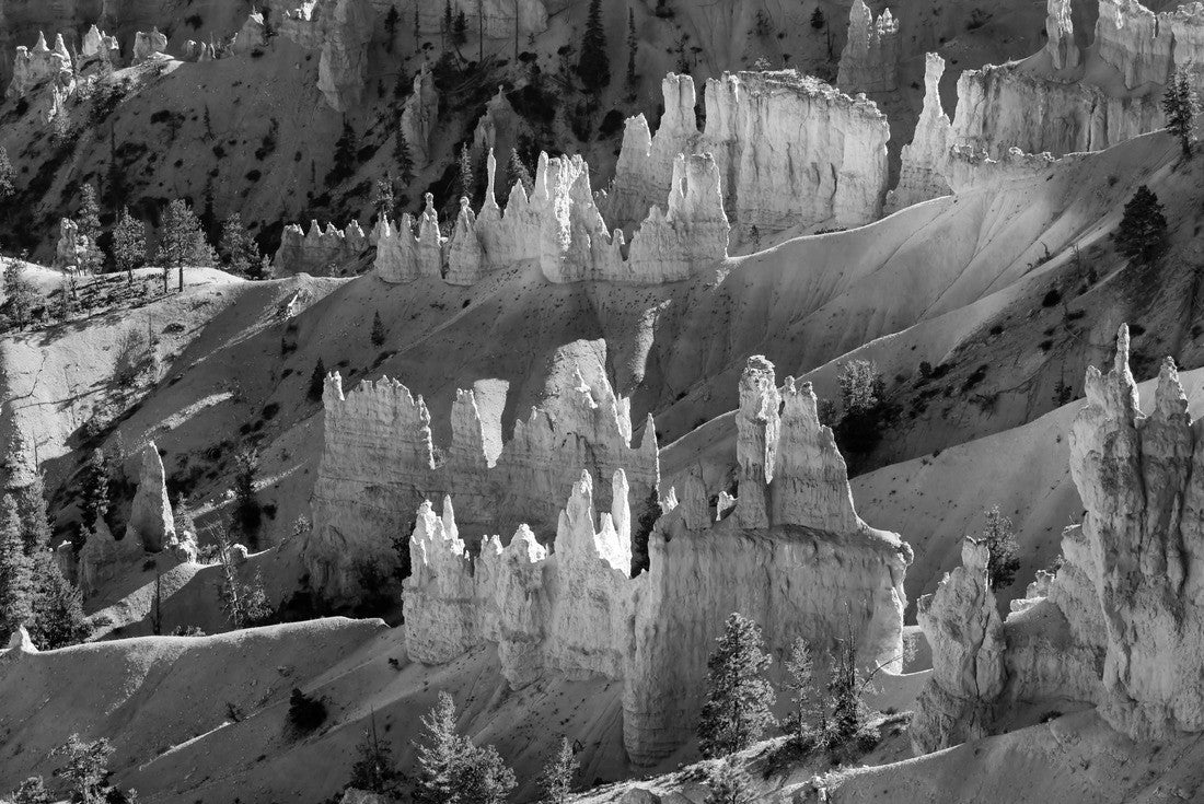 Noah Jigsaw Puzzle Bryce Canyon National Park in Utah, one of the most beautiful national parks in the world in black white 2000 pieces