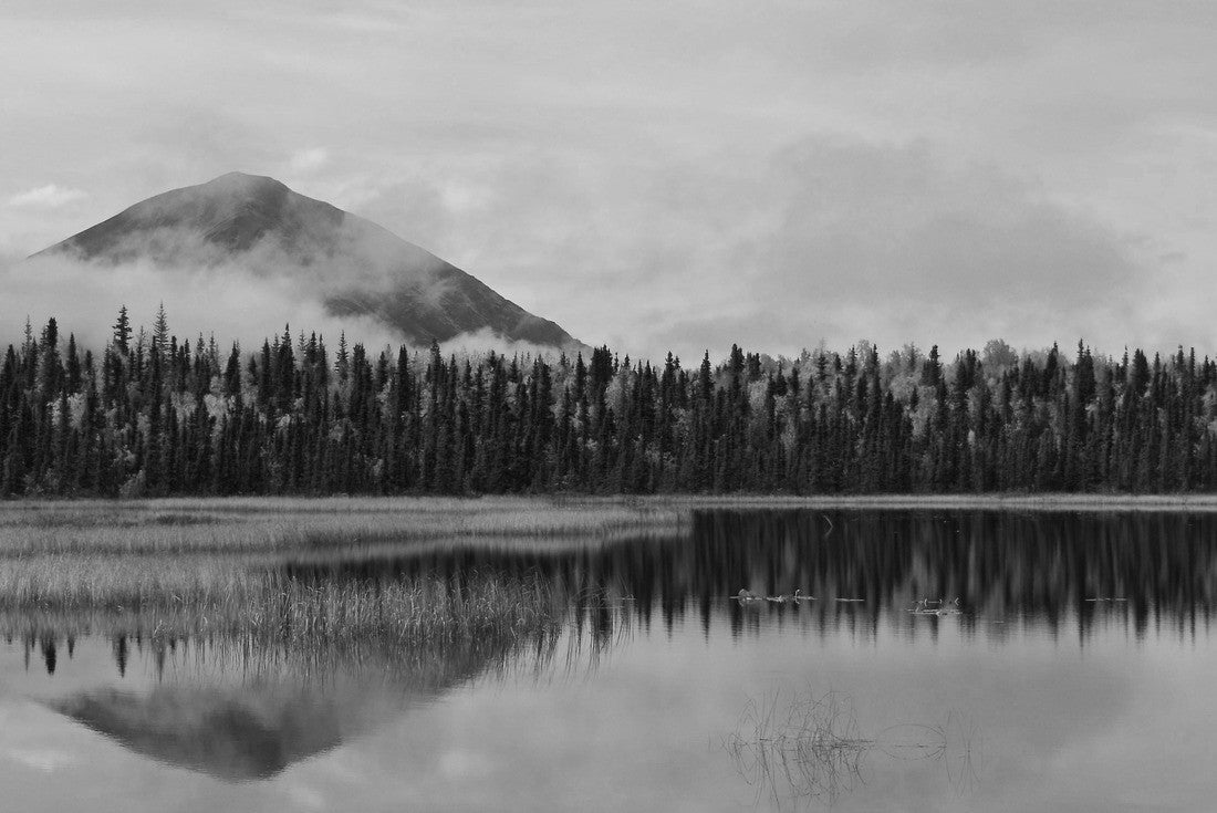 Reflections of Fall Colors in Lake Clark National Park in Alaska 2000pc PuzzleBlack and White