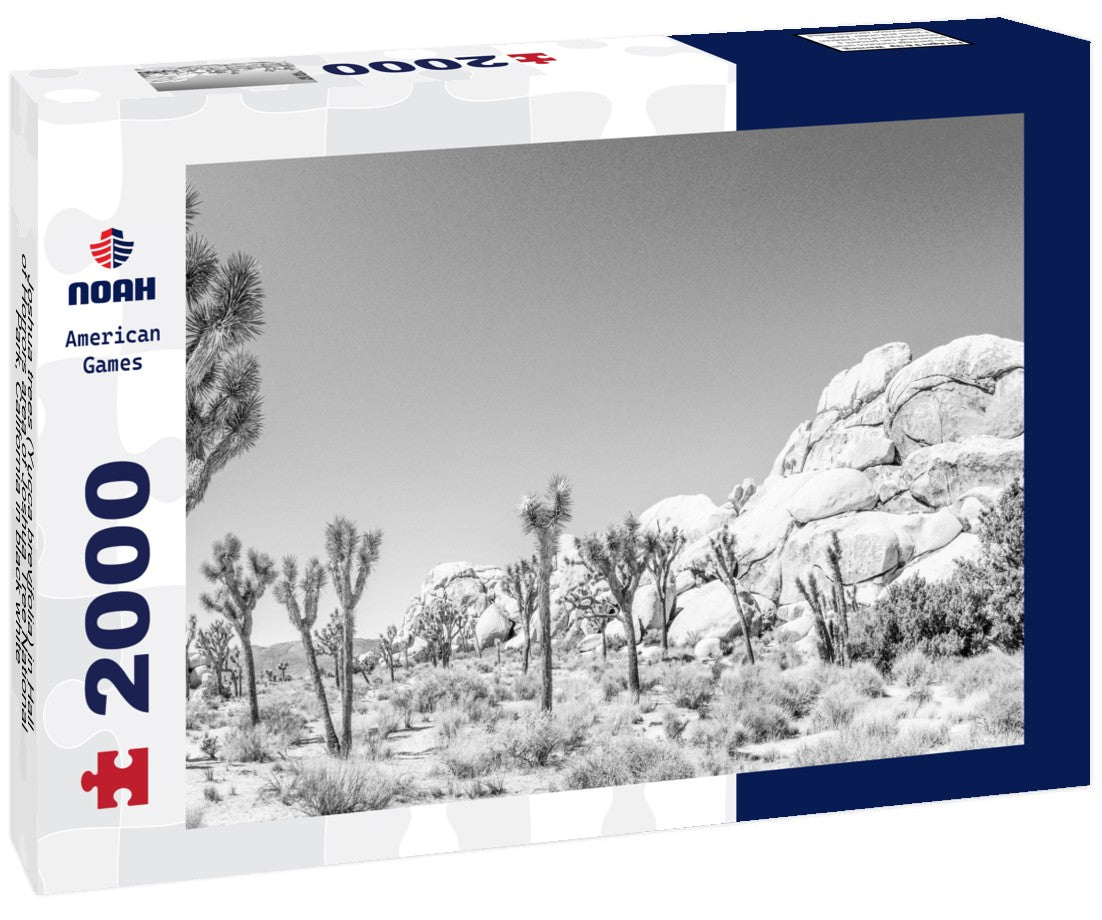 Joshua trees (Yucca brevifolia) in Hall of Horrors area of Joshua Tree National Park, California 2000pc PuzzleBlack and White