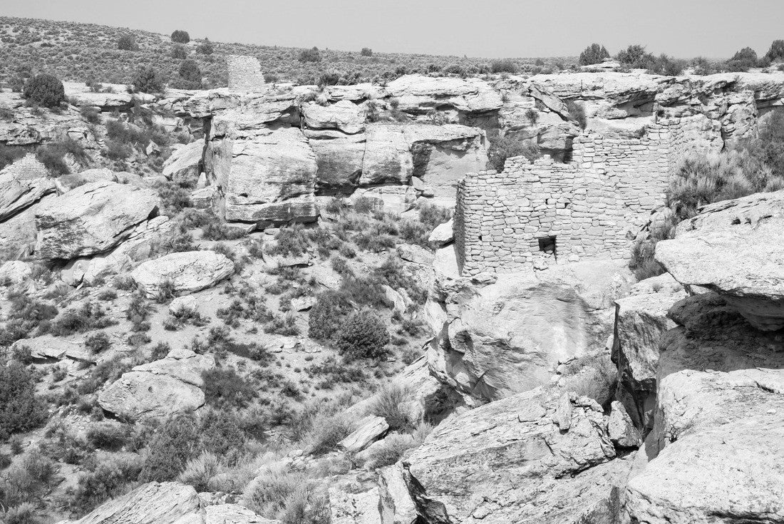 Noah Jigsaw Puzzle Hovenweep National Monument, Square Tower Canyon, Utah, USA in black white 2000 pieces