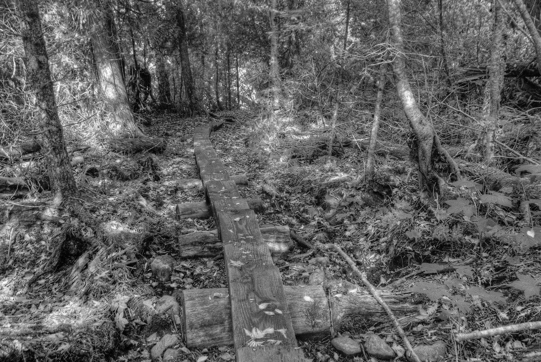 Isle Royale National Park is an Isolated Island in Lake Superior between Minnesota and Michigan 2000pc PuzzleBlack and White