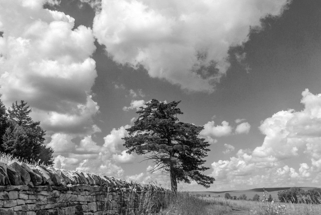 limestone wall, cumulus clouds, blue sky over Kansas prairie at Tallgrass Prairie National Preserve 2000pc PuzzleBlack and White