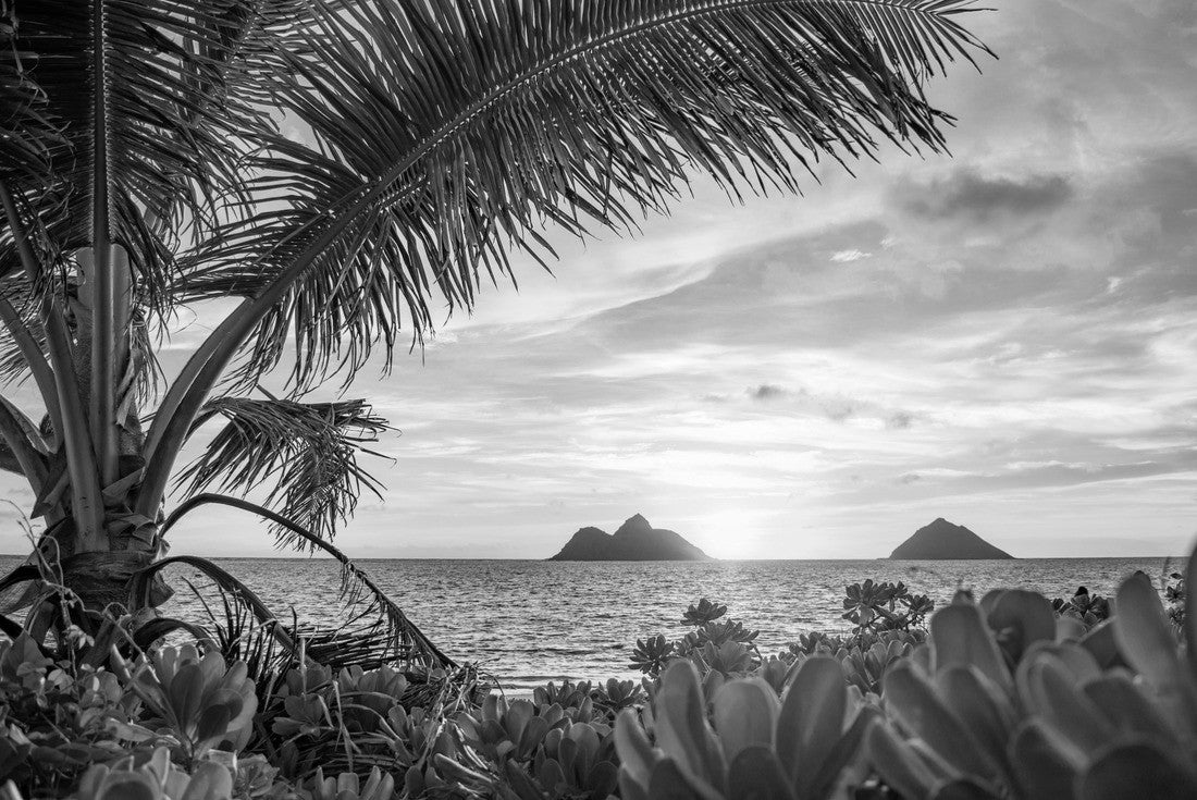A glorious tropical sunrise over Lanikai Beach in Kailua, Oahu, Hawaii 2000pc PuzzleBlack and White
