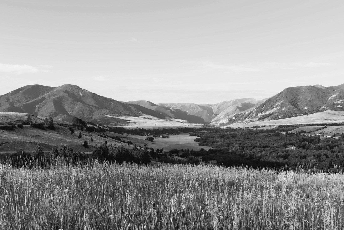 Red Lodge, Montana, USA. The foothills of the Bear Tooth Mountains at dawn as seen from the Bear Tooth Mountain Pass Highway on a fine summer morning near Red Lodge, Montana, USA 2000pc PuzzleBlack and White