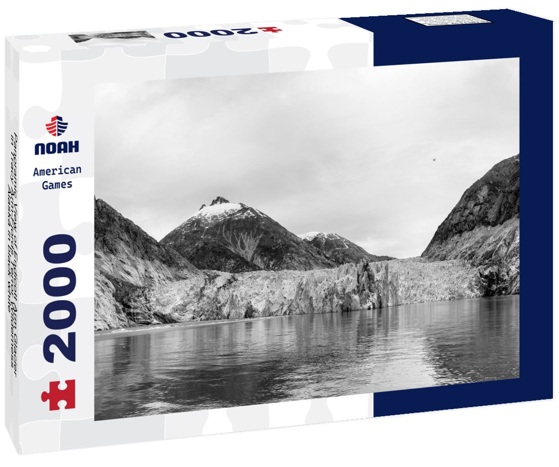 Endicott Arm Glacier in Tracy Arm-Fjords Terror Wilderness, Alaska 2000pc PuzzleBlack and White