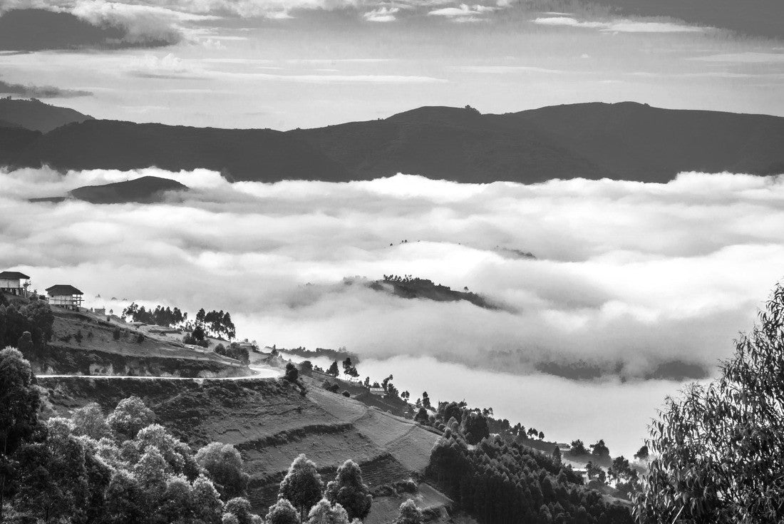 Gorilla's of Uganda at Bwindi Nationalpark 2000pc PuzzleBlack and White