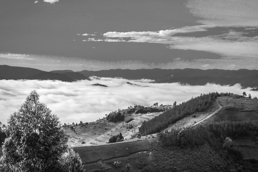 Noah Jigsaw Puzzle Hills of Uganda near Gorilla National Park in black white 2000 pieces
