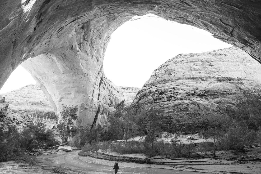 Coyote Buttes of the Vermillion Cliffs Wilderness Area, Utah and Arizona 2000pc PuzzleBlack and White