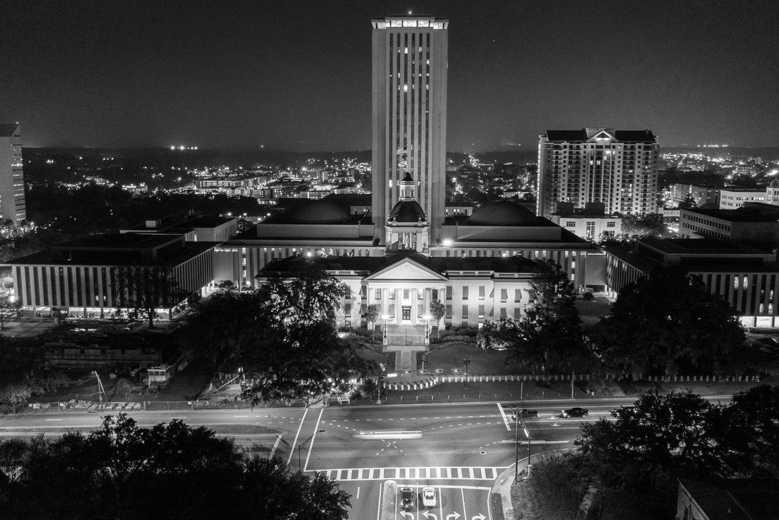 Tallahassee Florida State Capitol 2000pc PuzzleBlack and White