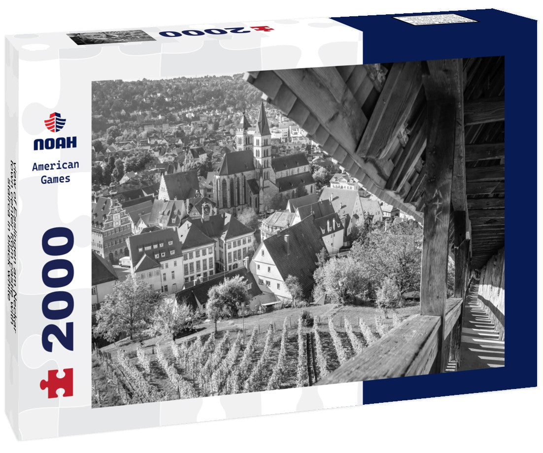 Esslingen am Neckar town center from castle with stairca 2000pc PuzzleBlack and White