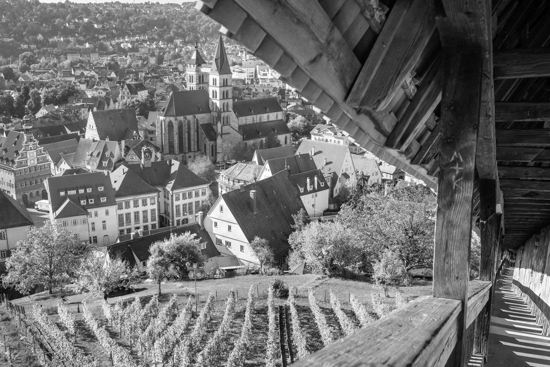 Esslingen am Neckar town center from castle with stairca 2000pc PuzzleBlack and White