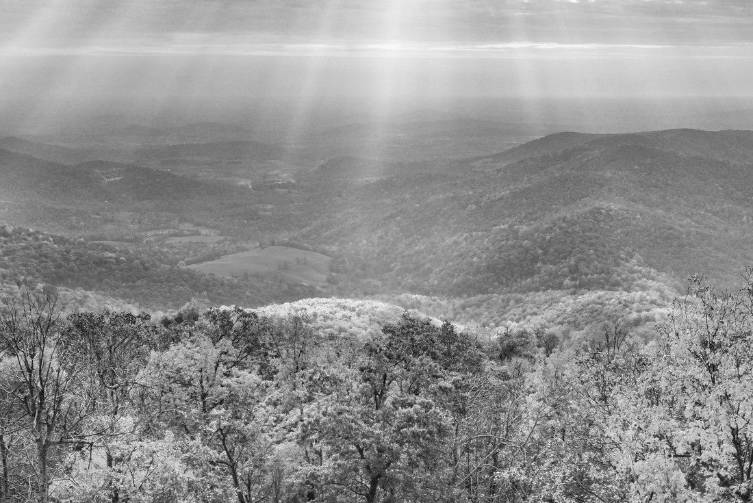 Noah Jigsaw Puzzle Shenandoah National Park in Autumn foliage - Virginia, United States of America in black white 2000 pieces
