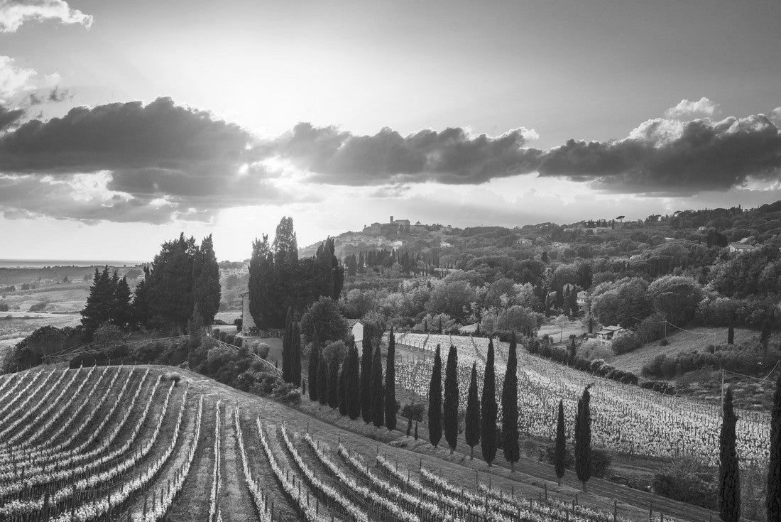 Casale Marittimo village, vineyards and landscape in Maremma. Pisa Tuscany, Italy 2000pc PuzzleBlack and White
