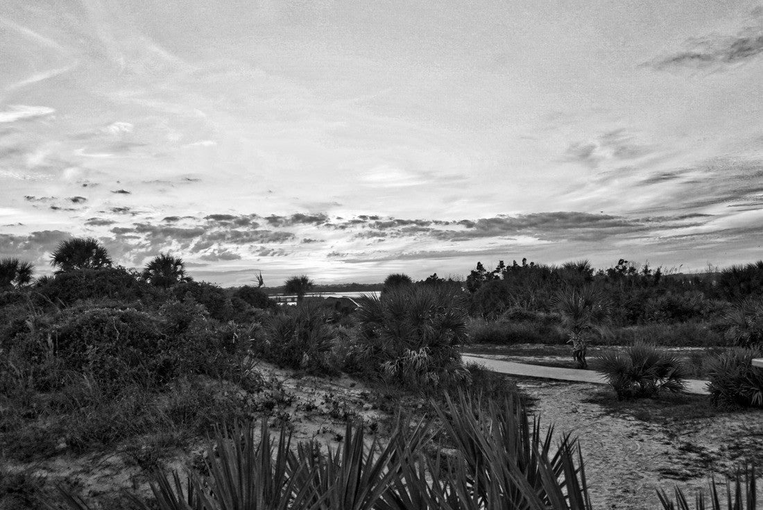 New Smyrna Beach Dunes 2000pc PuzzleBlack and White