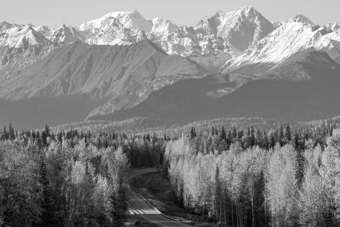 Denali, Mt Foraker and the Alaska range from the Parks Highway 2000pc PuzzleBlack and White