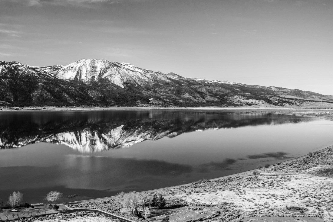 Noah Jigsaw Puzzle Washoe Lake bear Carson City, Northern Nevada in black white 2000 pieces