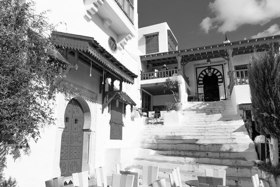 Noah Jigsaw Puzzle Urban landscape with typical white, blue houses in the village of Sidi Bou Said, Tunisia in black white 2000 pieces