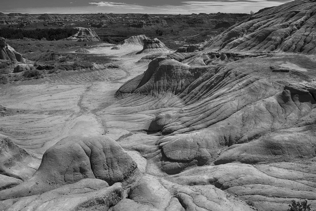 Dinosaur Provincial Park Alberta 2000pc PuzzleBlack and White