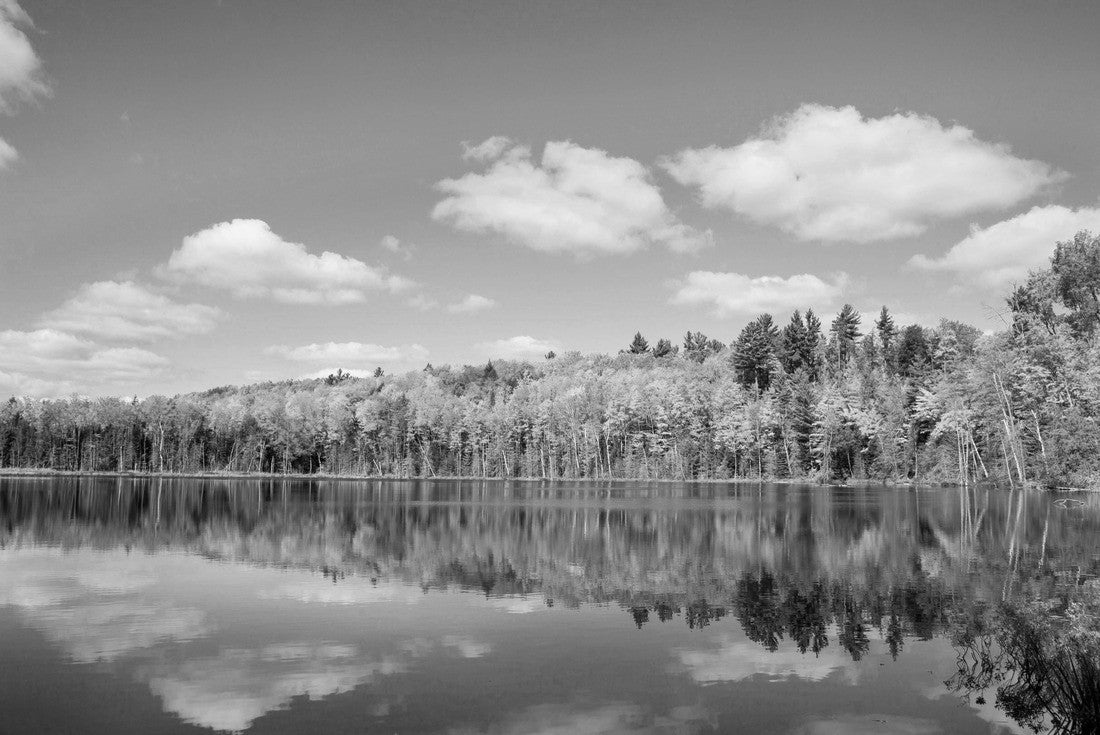 Noah Jigsaw Puzzle Pete's Lake in fall color Schoolcraft County, Upper Peninsula, Michigan in black white 2000 pieces