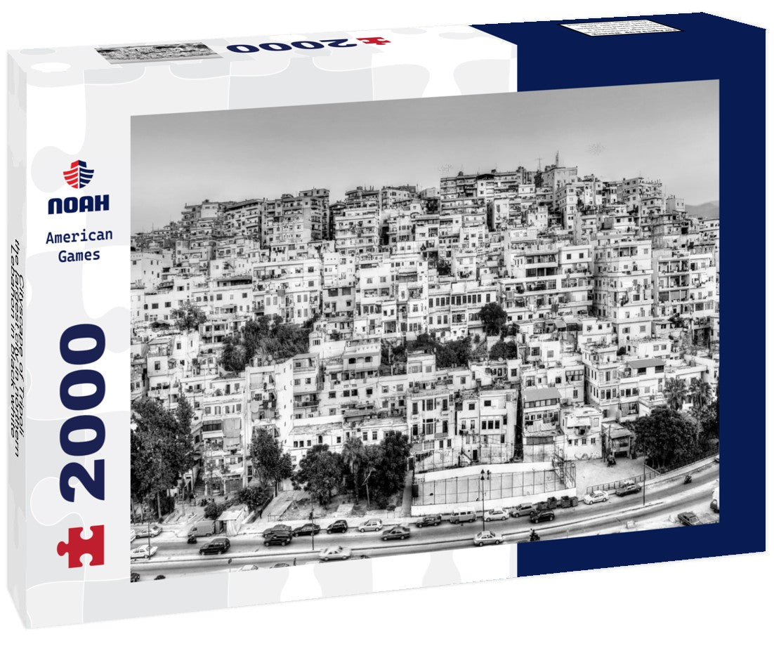 Cityscape of Tripoli, the largest city in northern Lebanon 2000pc PuzzleBlack and White