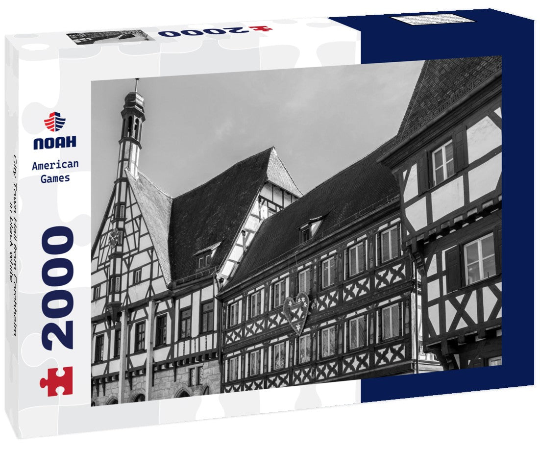 City Town Hall from Forchheim 2000pc PuzzleBlack and White