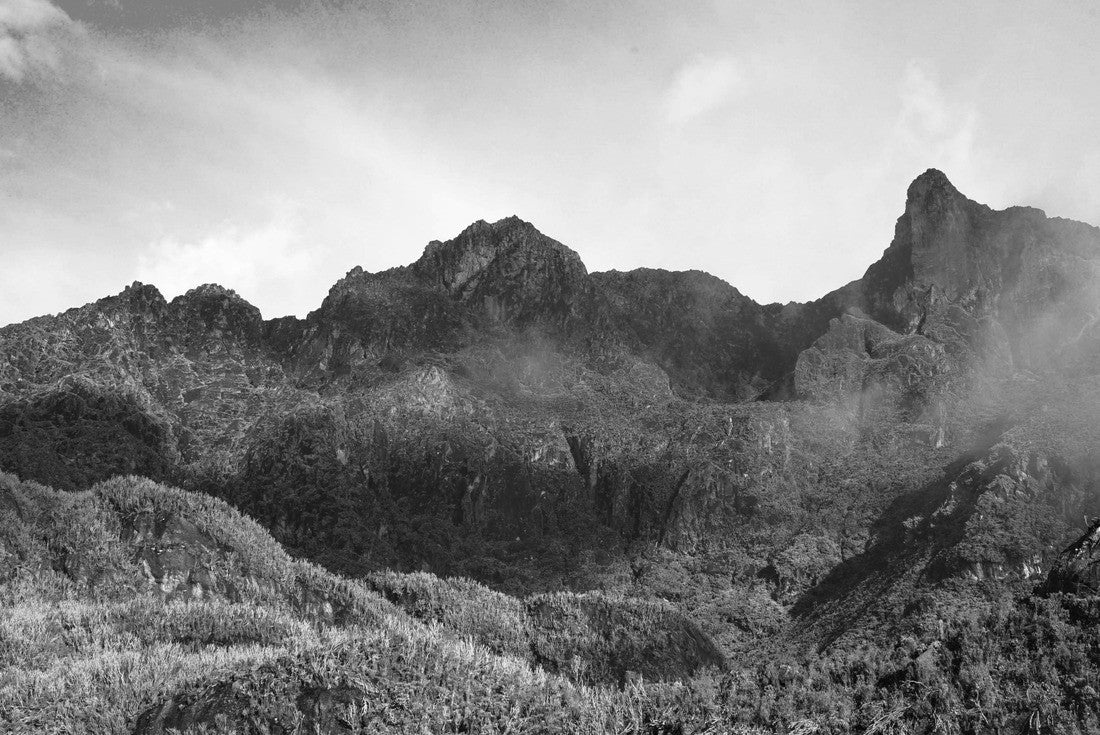 Noah Jigsaw Puzzle Beautiful morning in Rwenzori or Moon Mountains in Uganda, Africa in black white 2000 pieces