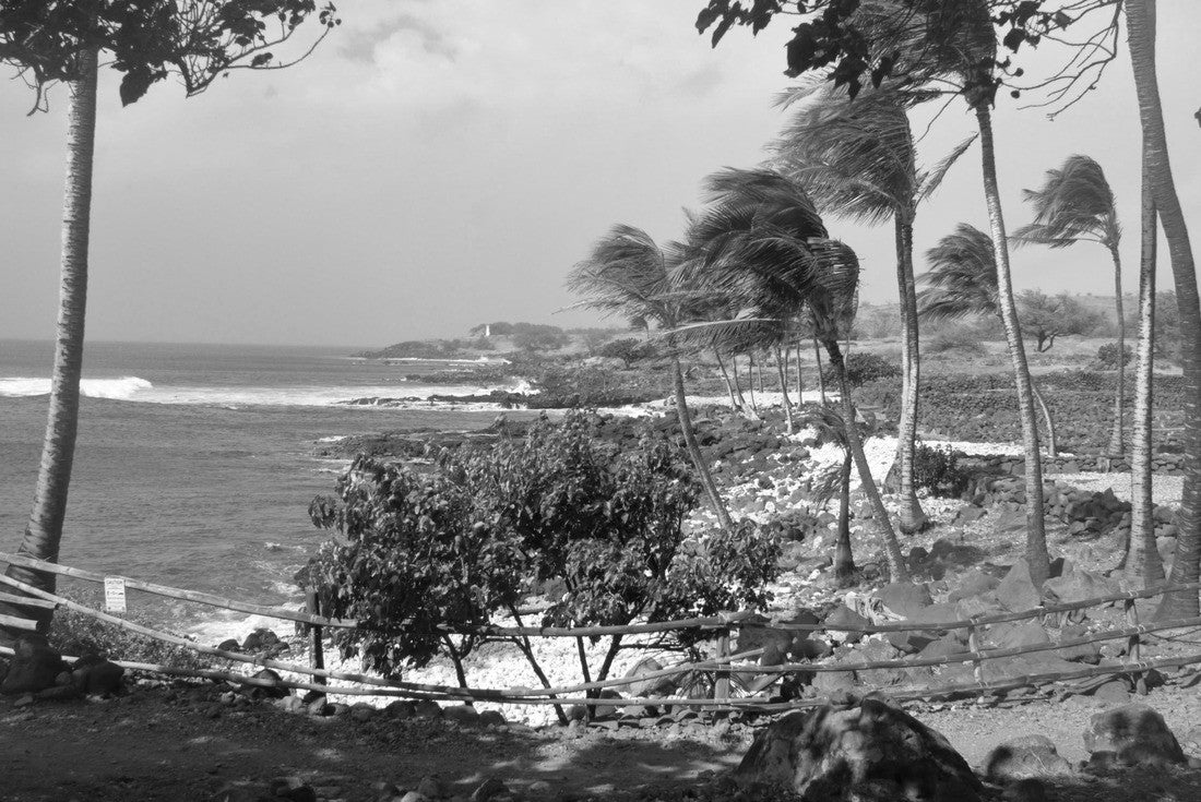 The windswept beachside ruins of Kaloko-Honokohau National Historical Park as rain moves in and a subtle rainbow appears 2000pc PuzzleBlack and White