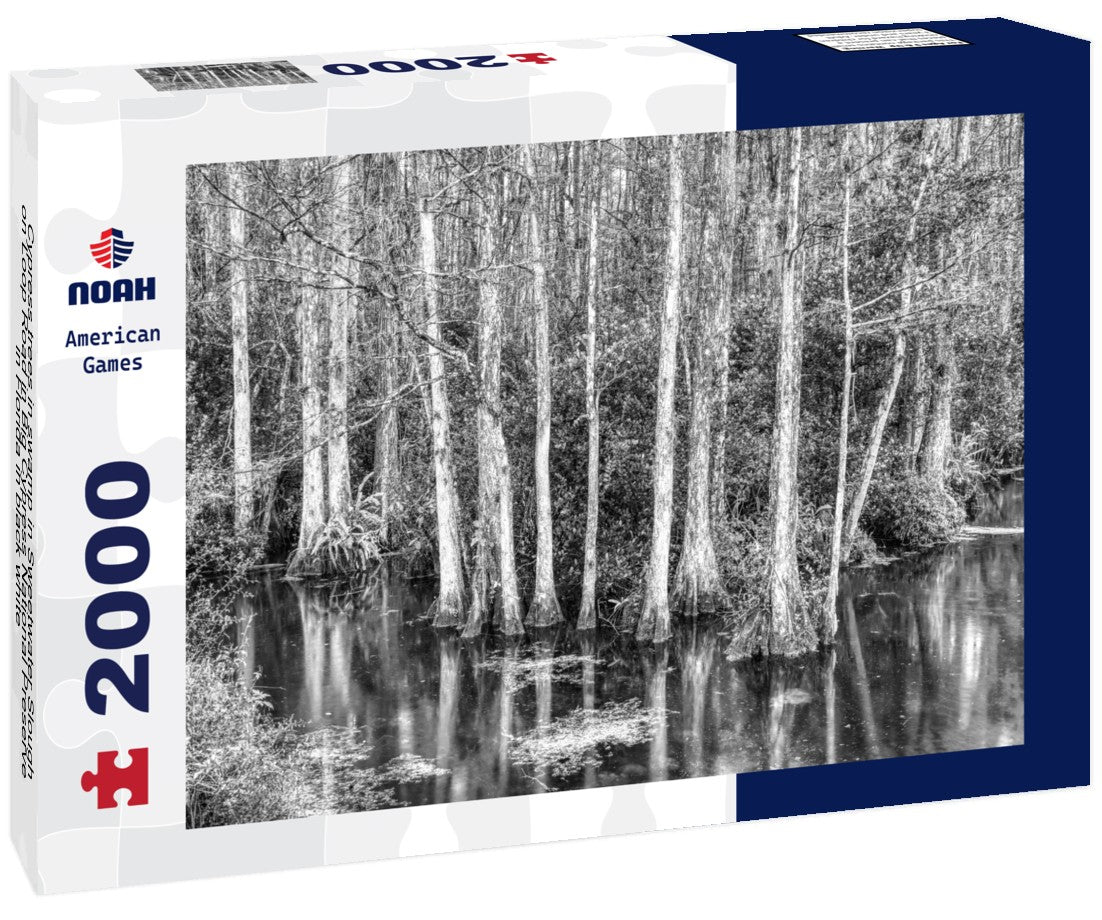 Cypress trees in swamp in Sweetwater Slough on Loop Road in Big Cypress National Preserve in Florida 2000pc PuzzleBlack and White