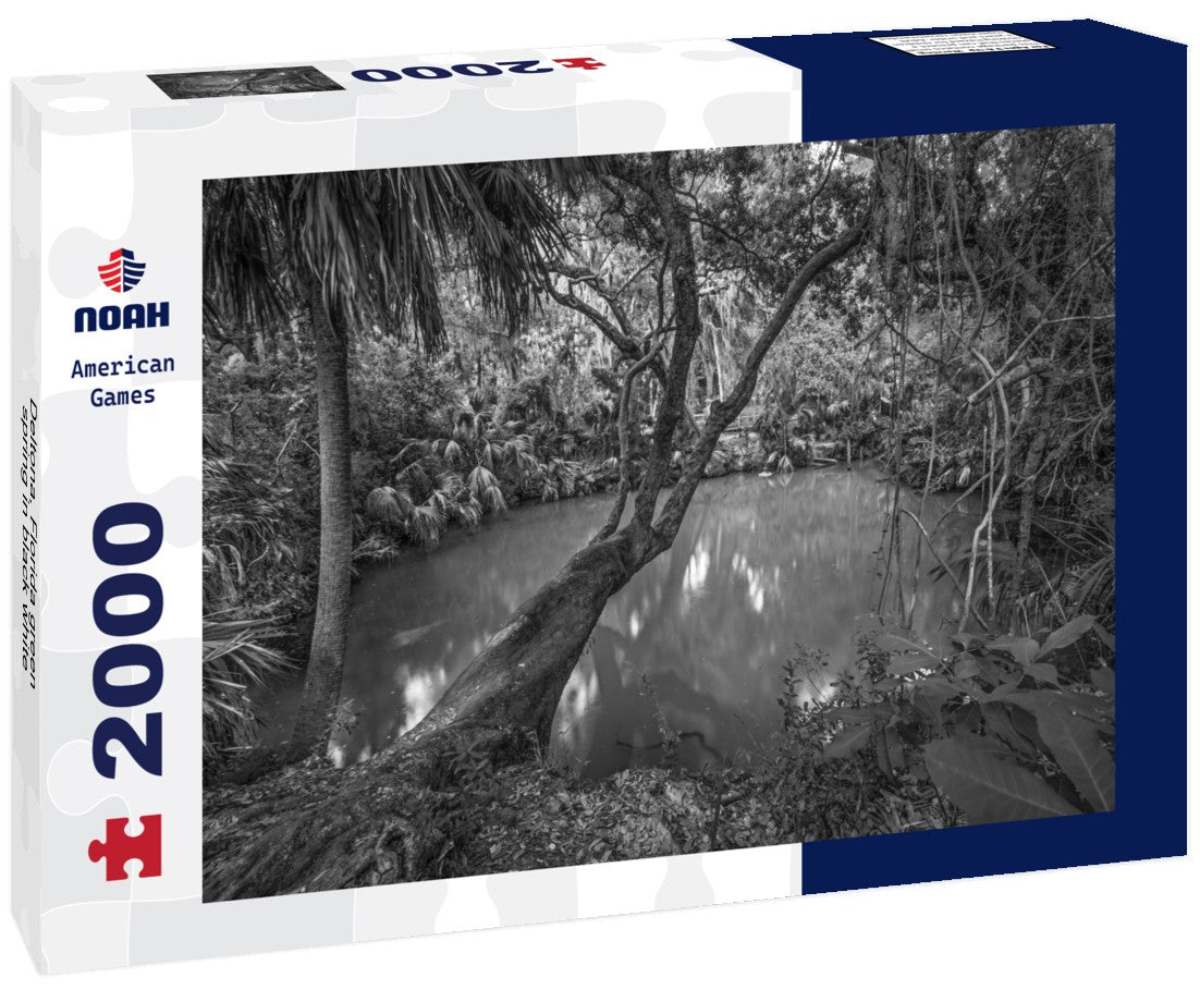 Deltona, Florida green spring 2000pc PuzzleBlack and White