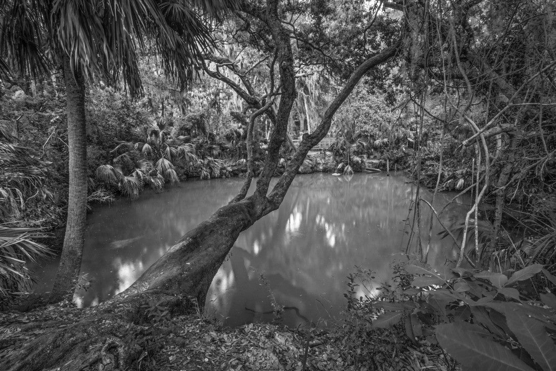 Deltona, Florida green spring 2000pc PuzzleBlack and White