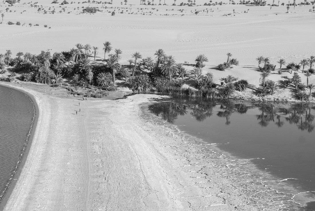 Noah Jigsaw Puzzle View of the Demi saltwater lagoon in the Lakes of Ounianga, Chad, Africa in black white 2000 pieces