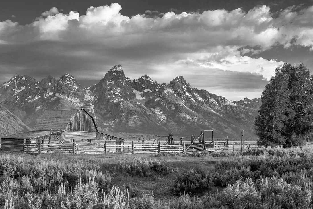 Noah Jigsaw Puzzle Mormon Row in Grand Teton National Park, Wyoming in black white 2000 pieces