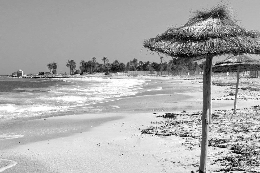 Noah Jigsaw Puzzle View of the beach in the coastal area of Djerba in Tunisia in black white 2000 pieces
