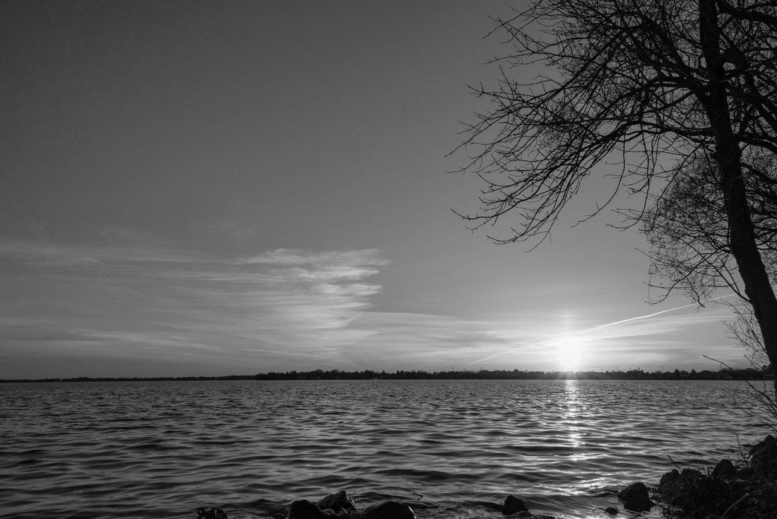 Noah Jigsaw Puzzle Sunset over lake Cadillac Michigan water golden glow sunrise in black white 2000 pieces