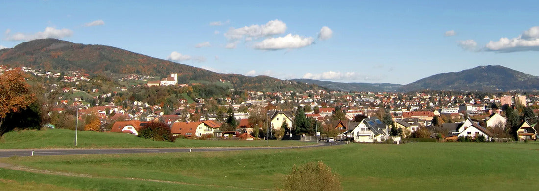 District capital Weiz / Styria / Austria 1000pc Panoramic Puzzle