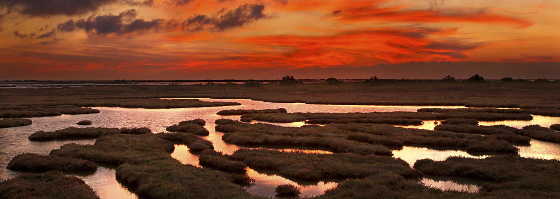 Noah Jigsaw PuzzleEvros, Greece: Sunset in the delta of the river Evros, Thrace, Greece, Panorama 1000 Pieces