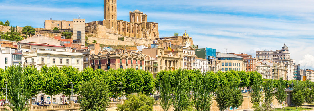 Noah Jigsaw PuzzleView of the old cathedral Seu Vella with Segre river in Lleida, Catalonia, Spain, Panorama 1000 Pieces