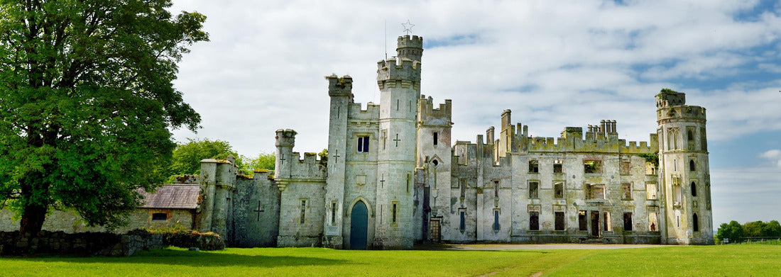 Noah Jigsaw PuzzleThe towers and turrets of Ducketts Grove, a ruined 19th century house in County Carlow, Ireland, Panorama 1000 Pieces