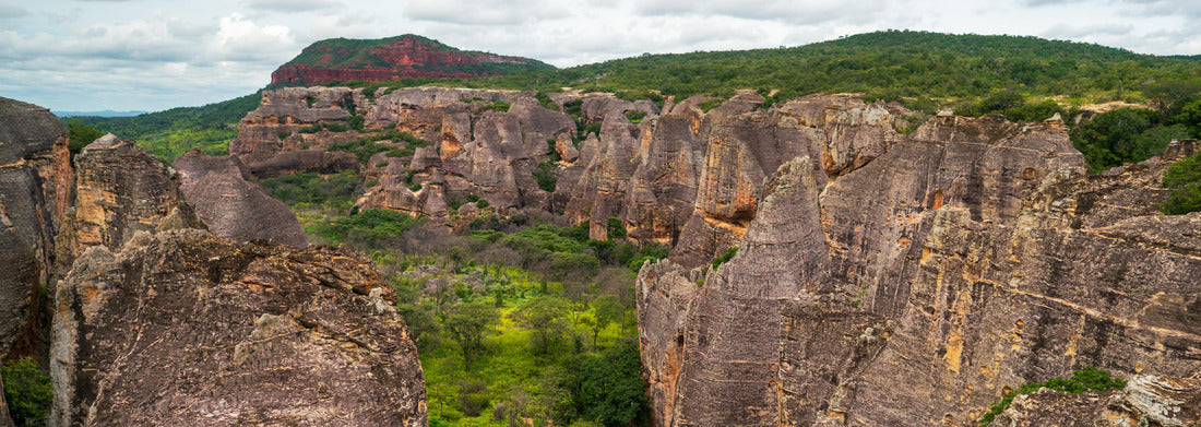 Noah Jigsaw PuzzleThe Serra da Capivara National Park is located in the Caatinga, the only exclusively Brazilian biome..Piaui - Brazil, Panorama 1000 Pieces
