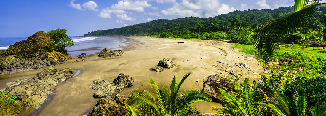 Noah Jigsaw PuzzleTropical beach Almejal on the Pacific coast near El Valle in the Choco region of Colombia, Panorama 1000 Pieces