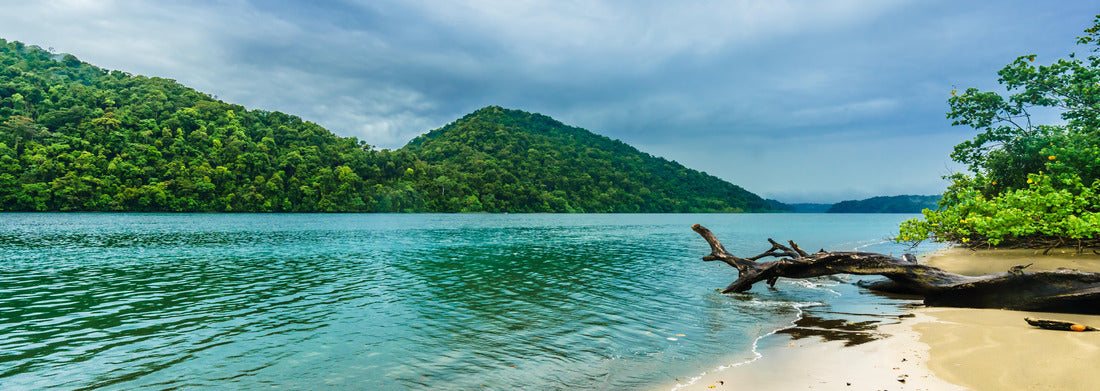 tropical beach in the Natural Utria National Park near Nuqui, Colombia 1000pc Panoramic Puzzle